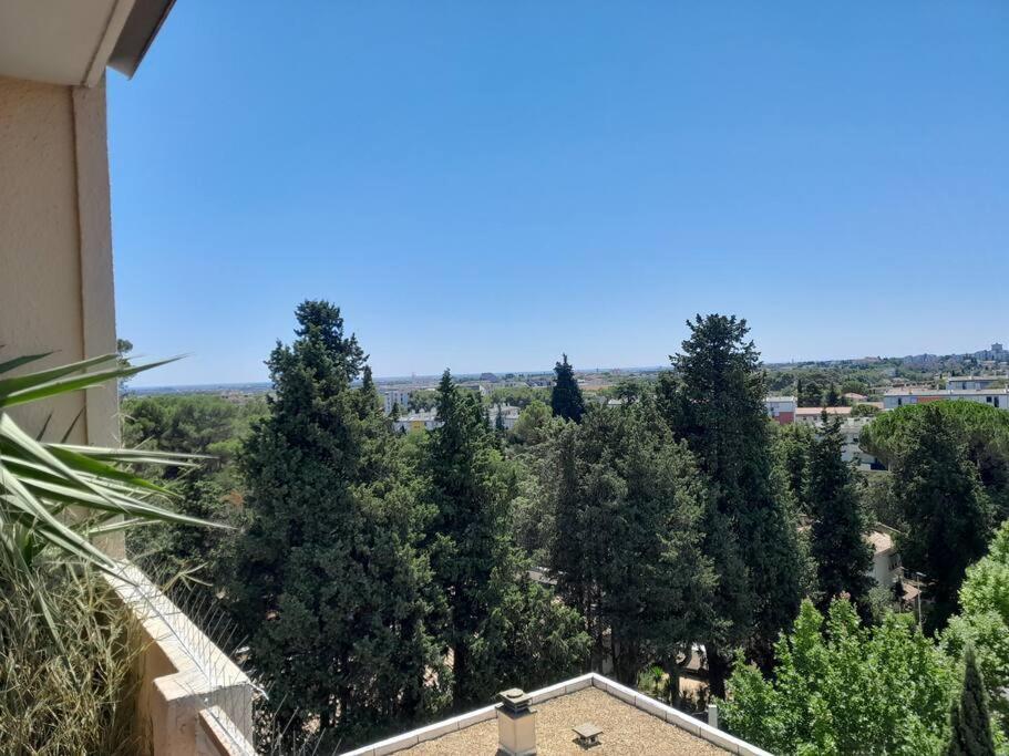 Le Buffel - Appartement 4 Chambres, Parking, Wi-Fi, Tram - 8Pers Montpellier Bagian luar foto